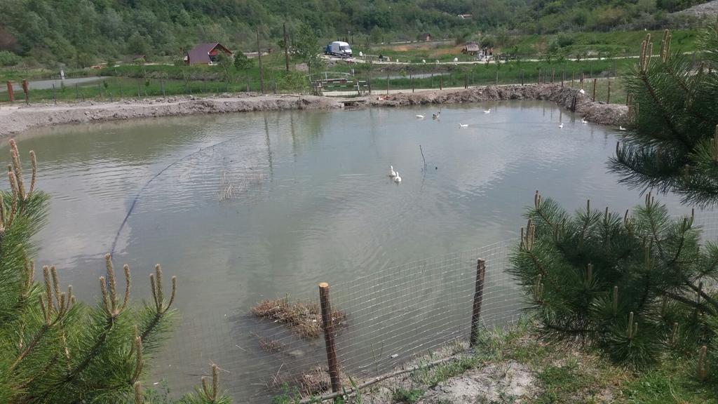 Pensiunea Dely_Cios Vălenii de Munte Esterno foto