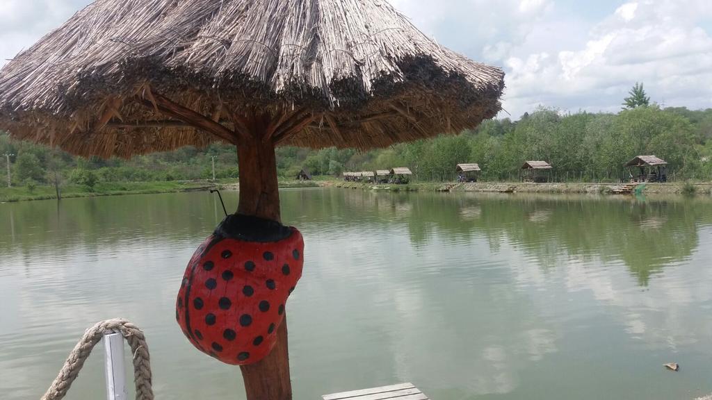 Pensiunea Dely_Cios Vălenii de Munte Esterno foto