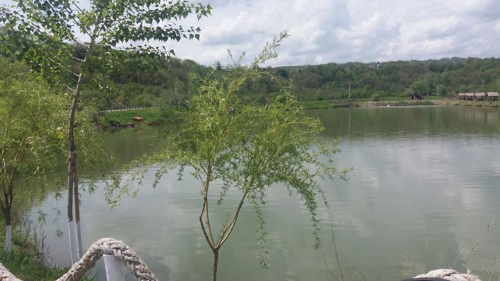 Pensiunea Dely_Cios Vălenii de Munte Esterno foto